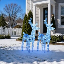 Blue Reindeer Lights