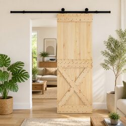 Concise Modern Sliding Door with Pine Wood and Black Track
