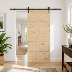 Concise 90 x 208 cm Sliding Door in Natural Pine