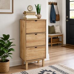 Concise Brown Shoe Cabinet with Ample Storage