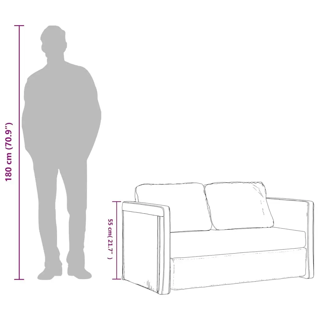 Floor Sofa Bed Dark Grey 2-in-1 Convertible Sleeper Loveseat Folding Guest Bed