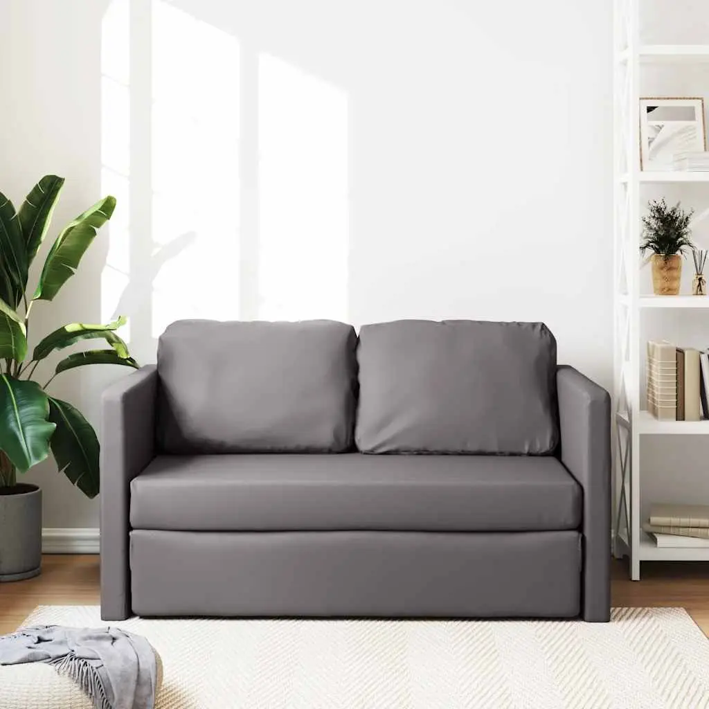 Floor Sofa Bed Grey 2-in-1 Convertible Loveseat Folding Sleeper
