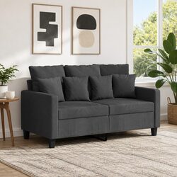 Grey 2-Seater Sofa - Modern and Comfortable