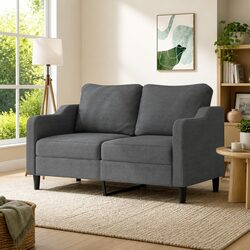 Chic and Comfortable 2-Seater Sofa in Grey