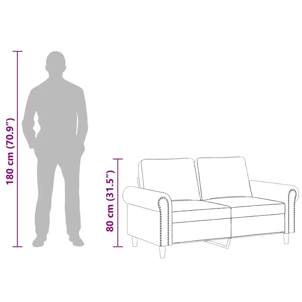 2-Seater Sofa Black 120cm Modern Living Room Couch Velvet Lounge Furniture