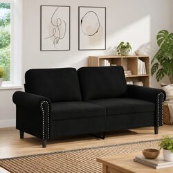 Concise Black 2-Seater Sofa in Velvet with Metal Frame