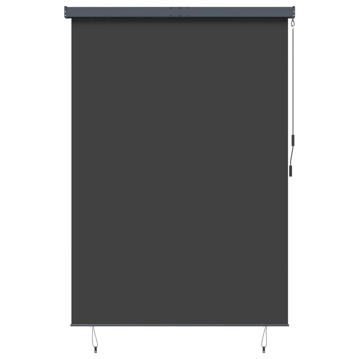 Outdoor Roller Blind Anthracite 180 x 250 cm UV Protection Manual Hand Crank