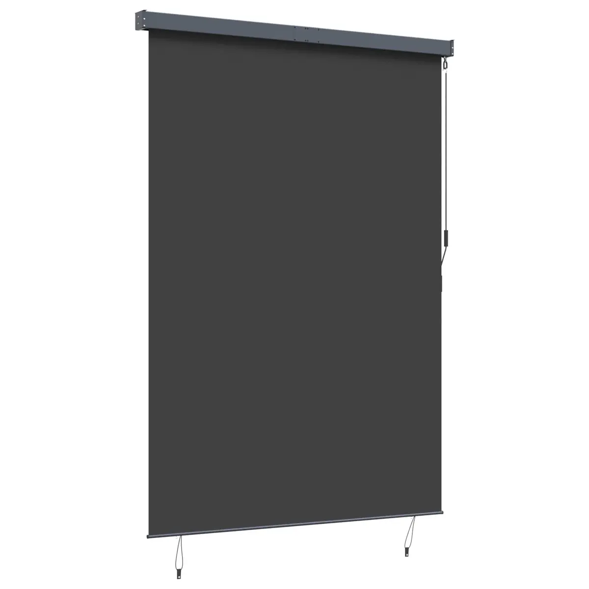 Outdoor Roller Blind Anthracite 180 x 250 cm UV Protection Manual Hand Crank