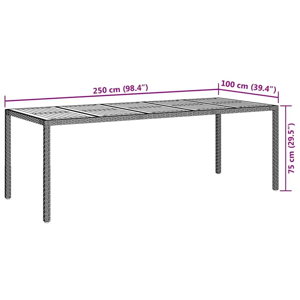 Garden Dining Table 250x100x75cm