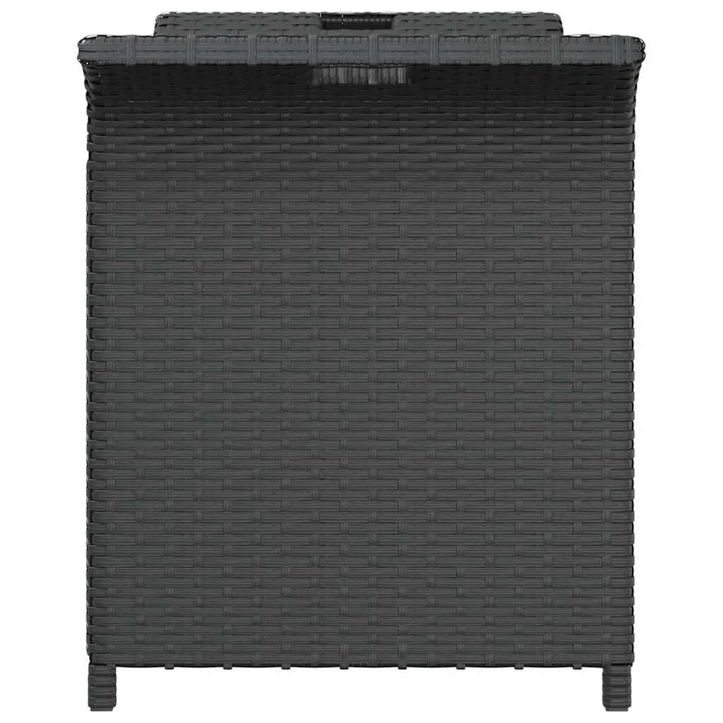 Garden Bench Black 116 x 46 x 57 cm Cushioned Seat with Storage