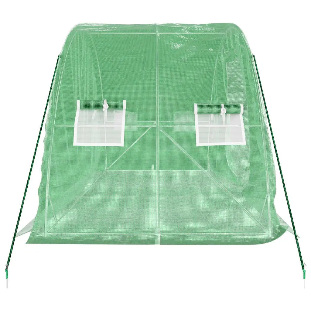 Greenhouse Green 5x2x2.3m Steel Frame PE Cover Durable Outdoor Plant House