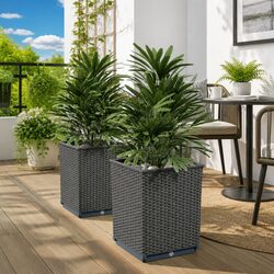 Compact Black Planters 30x30x37cm: Perfect for You