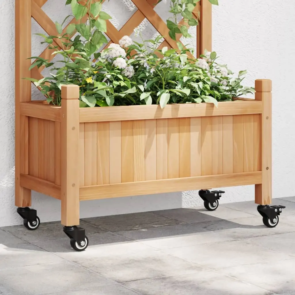 Caster Wheels Black 35mm Iron Heavy Duty Planter Furniture Castor Set
