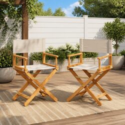 Folding Director Chairs 2 Pack for Easy Use