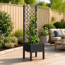 Compact and Stylish Black Garden Planter with Trellis