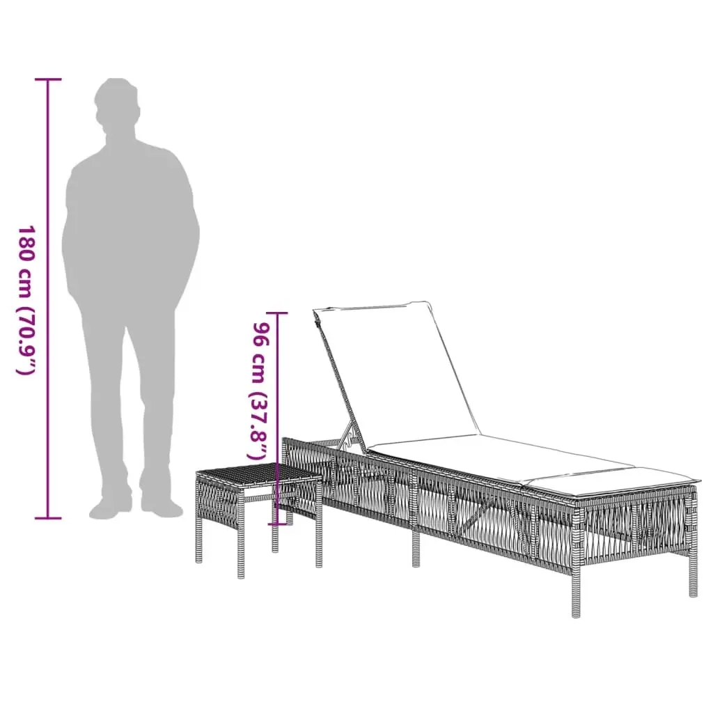 Grey Sun Loungers Set for Outdoor Enjoyment
