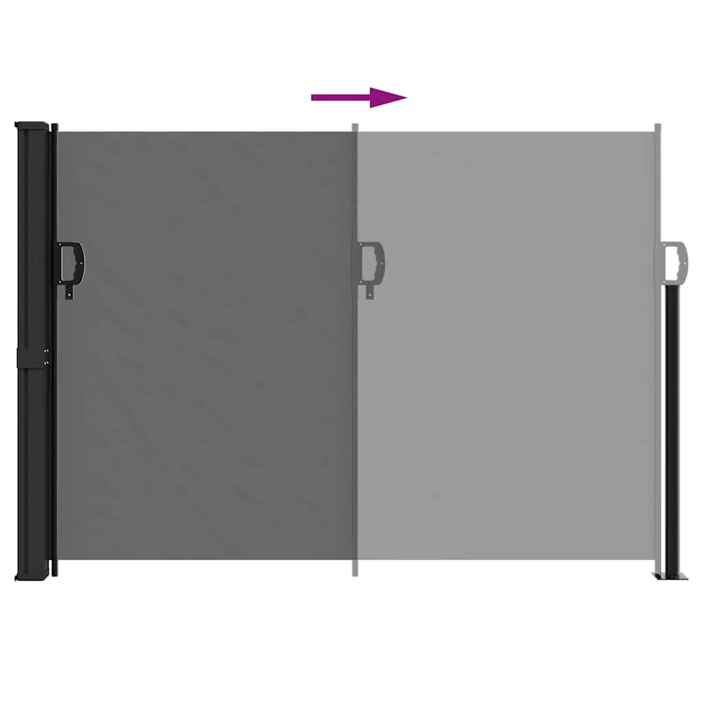 Retractable Side Awning Anthracite 140x300cm Outdoor Privacy Screen