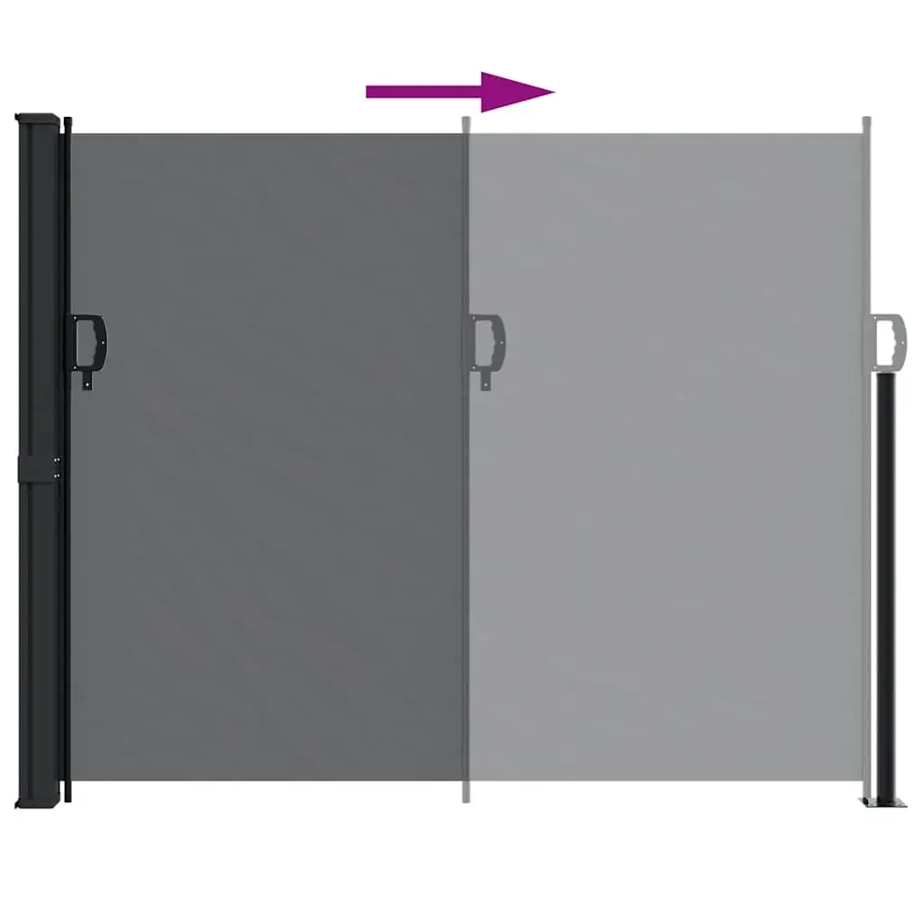 Retractable Side Awning Black 160x300 cm Outdoor Privacy Screen Garden Shade
