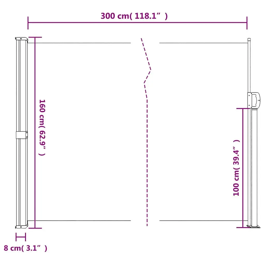 Retractable Side Awning Black 160x300 cm Outdoor Privacy Screen Garden Shade