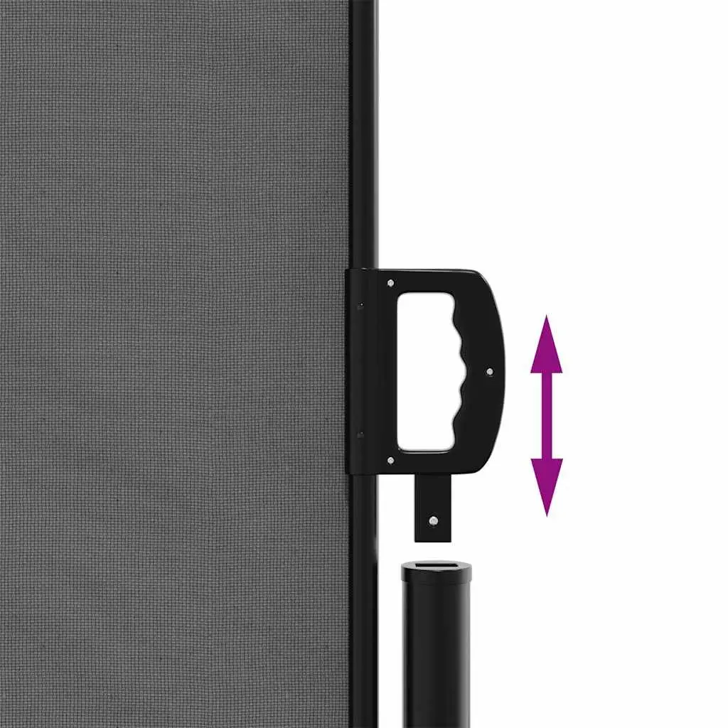 Retractable Side Awning Anthracite 220x300cm Privacy Screen Garden Shade