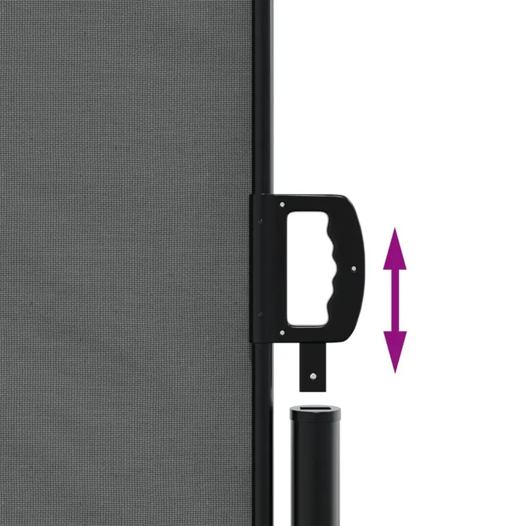 Retractable Side Awning Anthracite 180 x 1000 cm Outdoor Privacy Screen Garden Balcony Terrace Patio