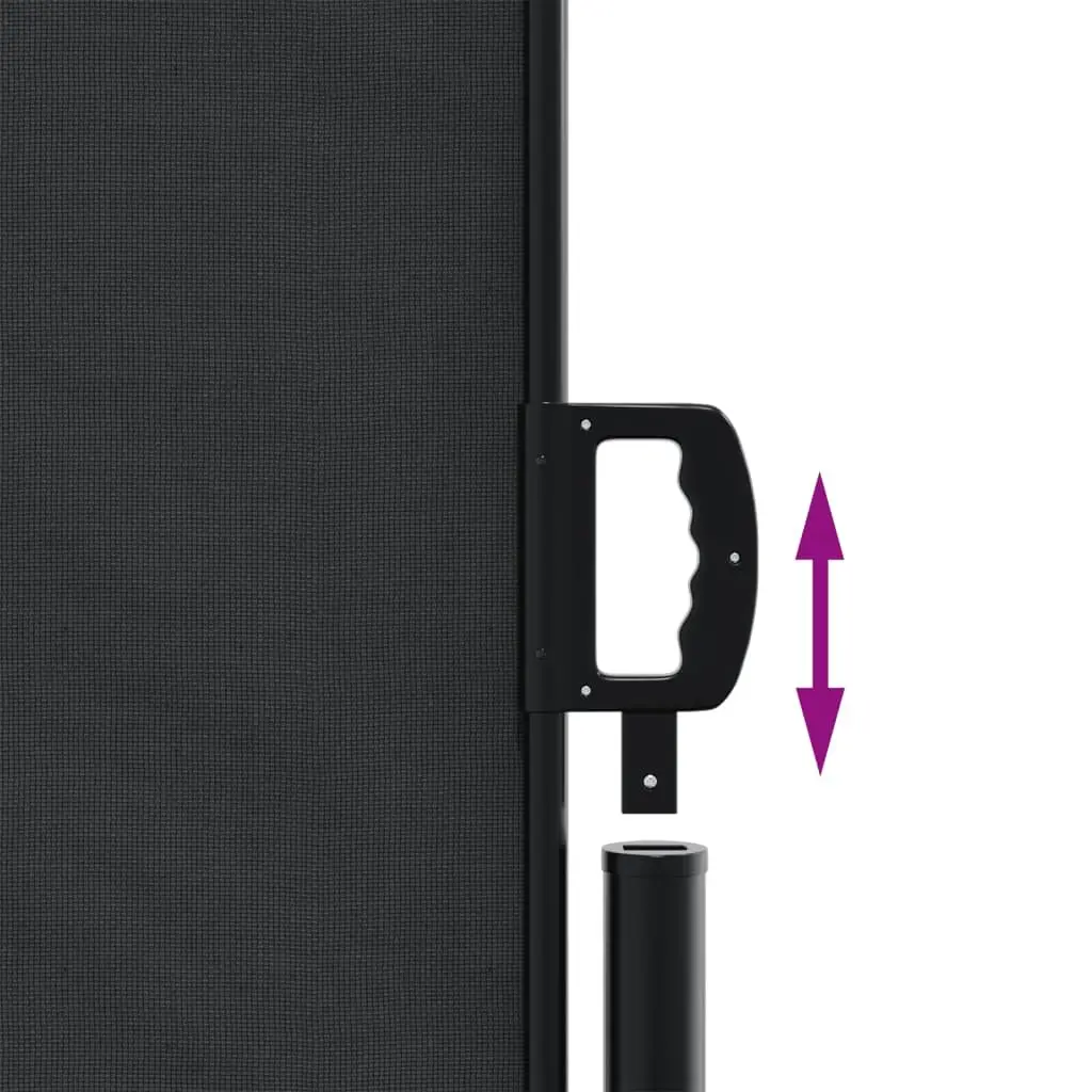 Retractable Side Awning Black 220 x 1000 cm Water and UV Resistant Fabric