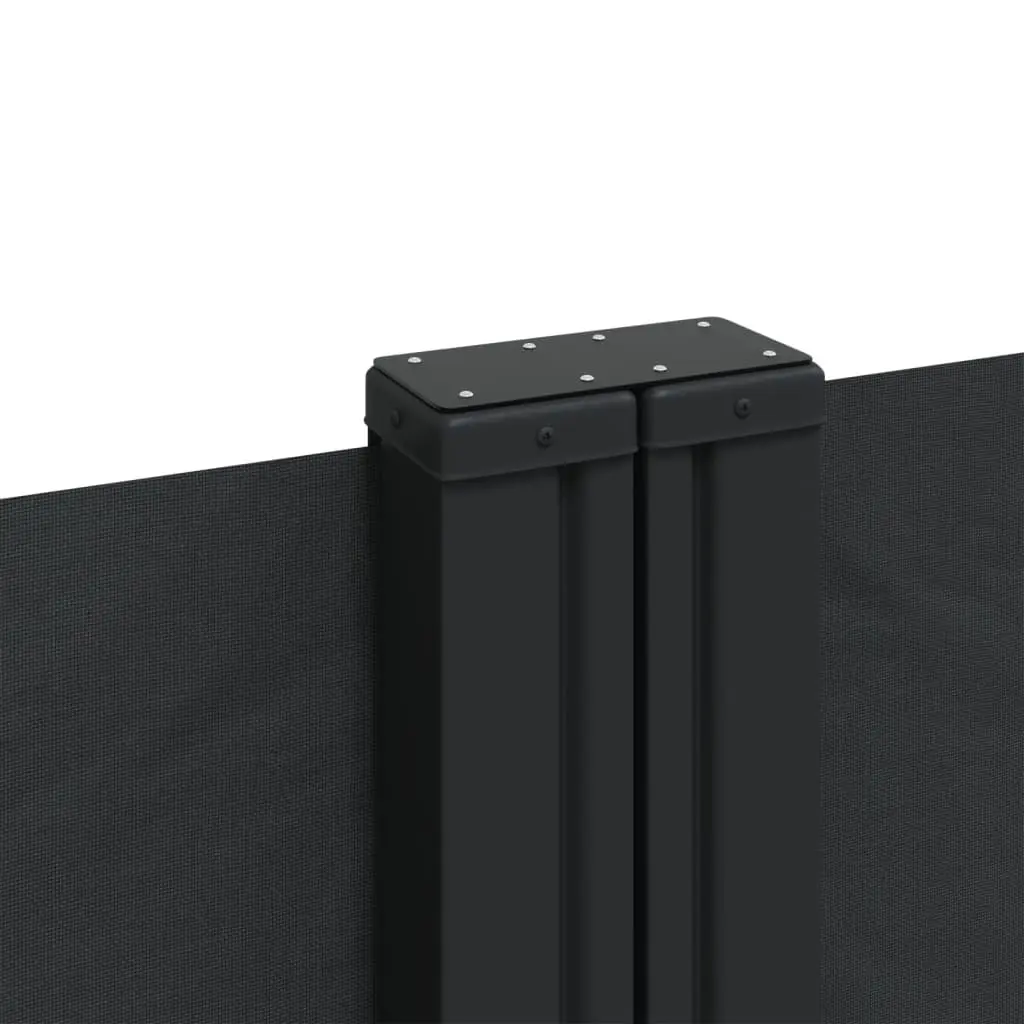 Retractable Side Awning Black 220 x 1000 cm Water and UV Resistant Fabric