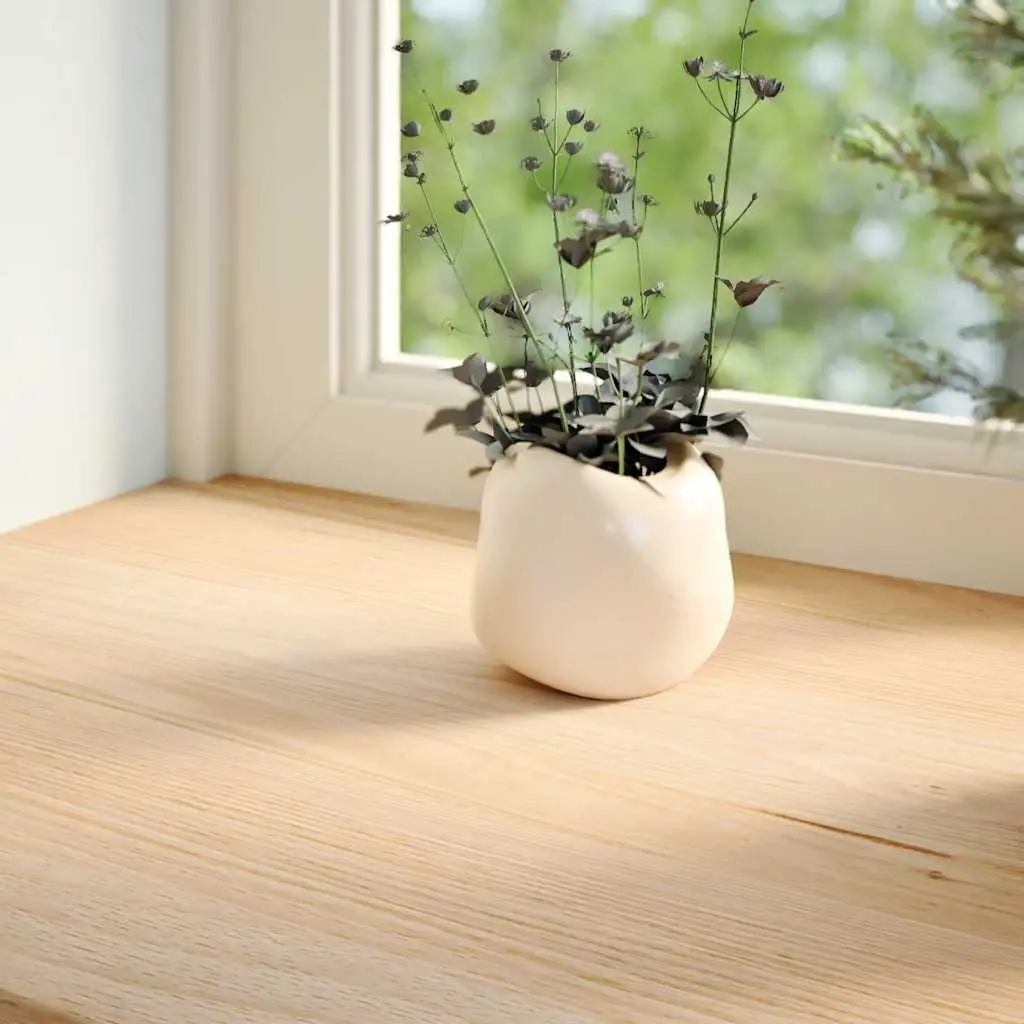 Window Sills Brown 80x30x2 cm Solid Oak Wood 2 Piece Untreated Natural Ledge
