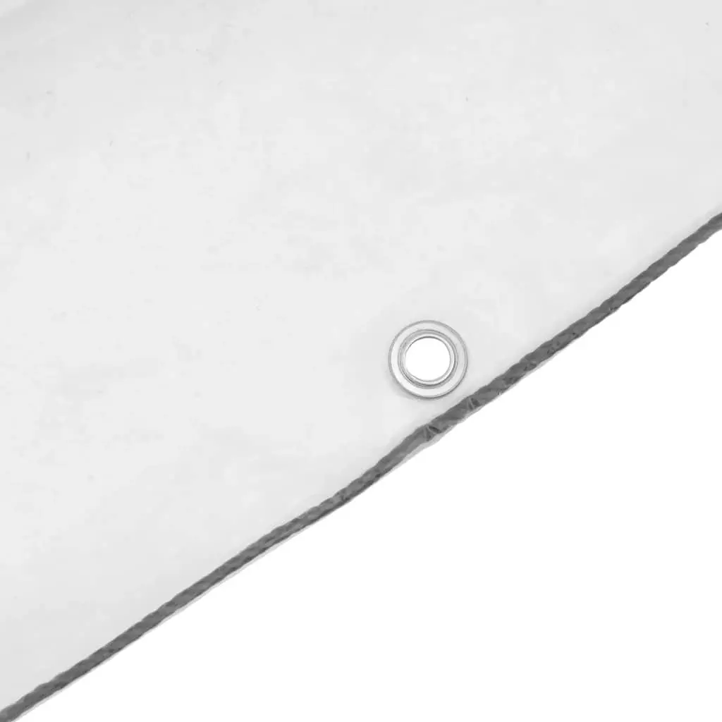 Polyethylene Tarpaulin Transparent 3x6m Waterproof with Eyelets