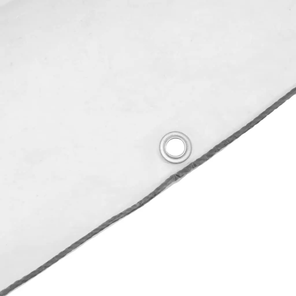 Clear Tarpaulin Transparent 3x8m Waterproof Polyethylene with Eyelets for Outdoor and Indoor Protection