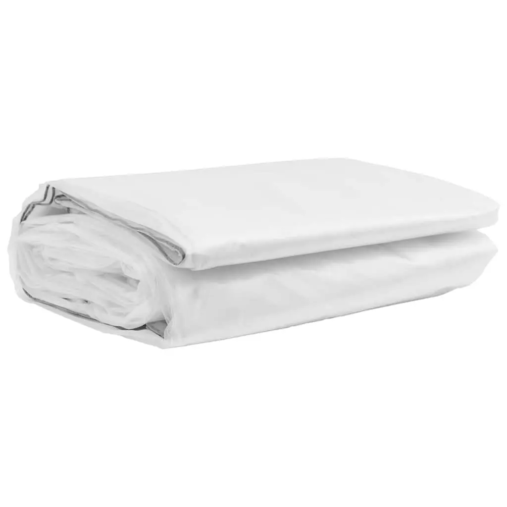 Clear Tarpaulin Transparent 3x8m Waterproof Polyethylene with Eyelets for Outdoor and Indoor Protection