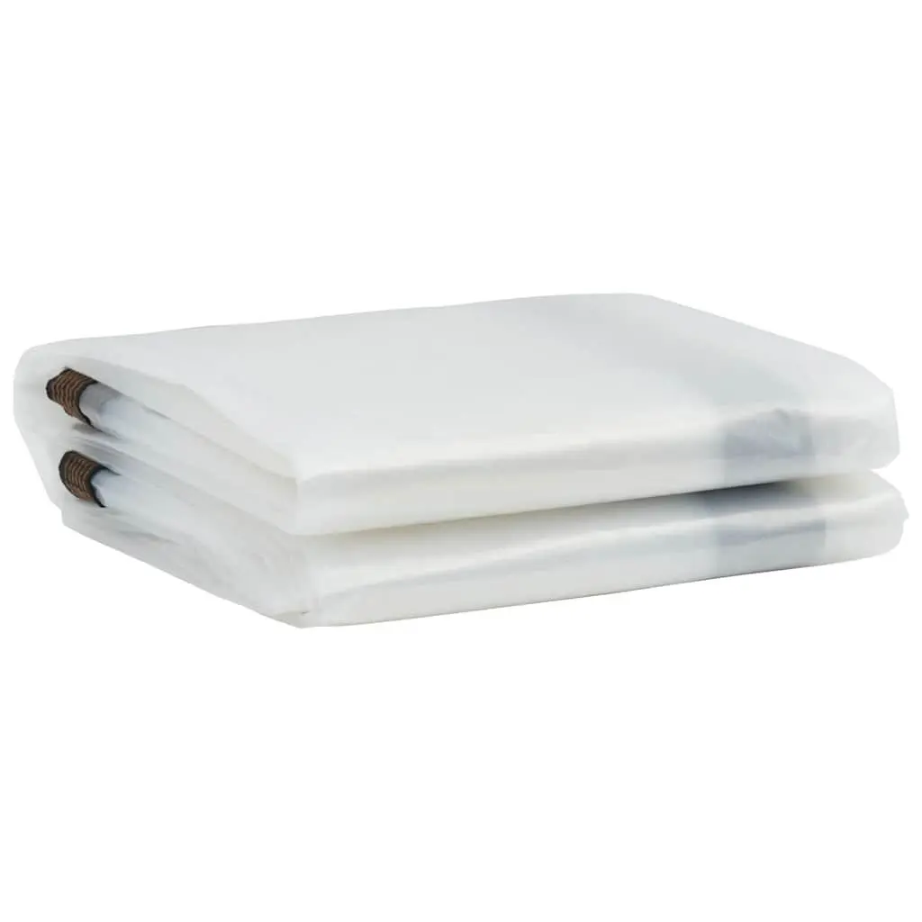 3x5 m Clear Tarpaulin with Eyelets