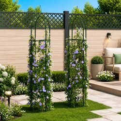 Garden Arch Towers: Strong Support for Climbing Plants