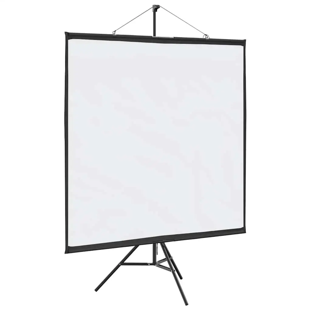 81 Inch Projection Screen