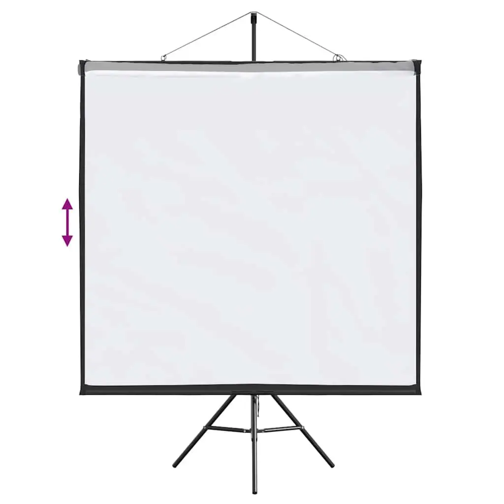 81 Inch Projection Screen