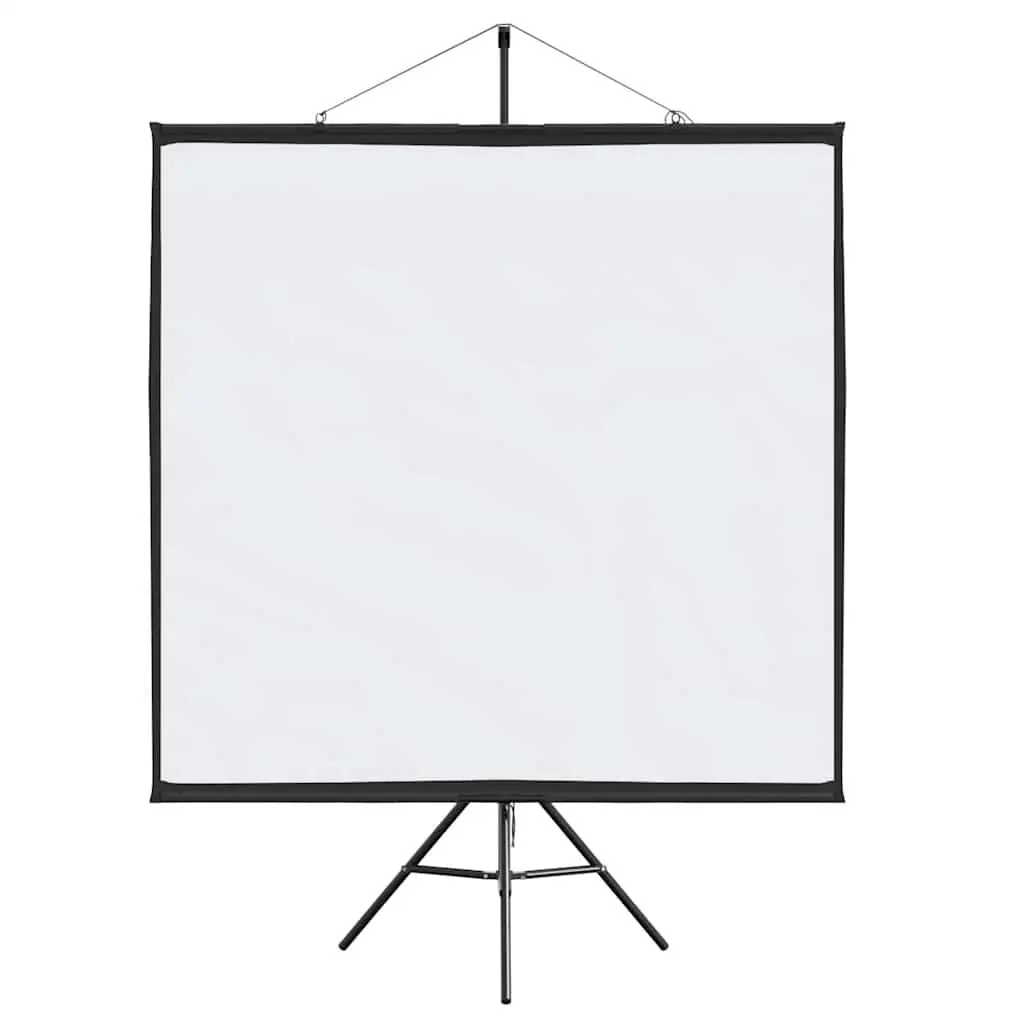 81 Inch Projection Screen