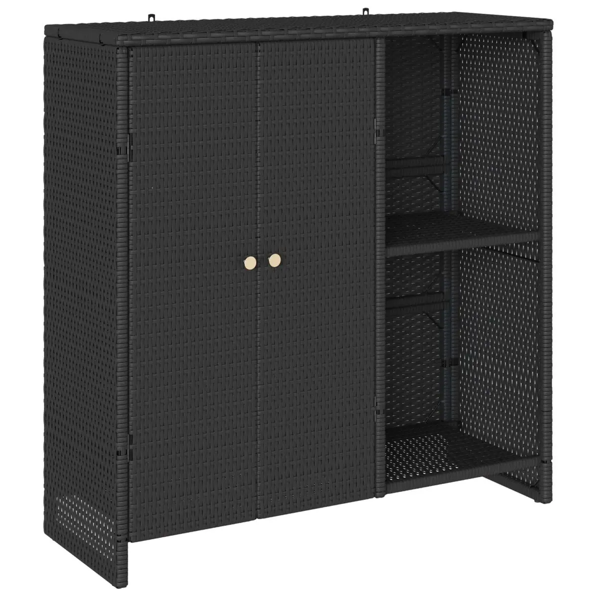 Storage Cabinet Black Rattan Rectangular Adjustable Shelves Modern Living Room Organizer