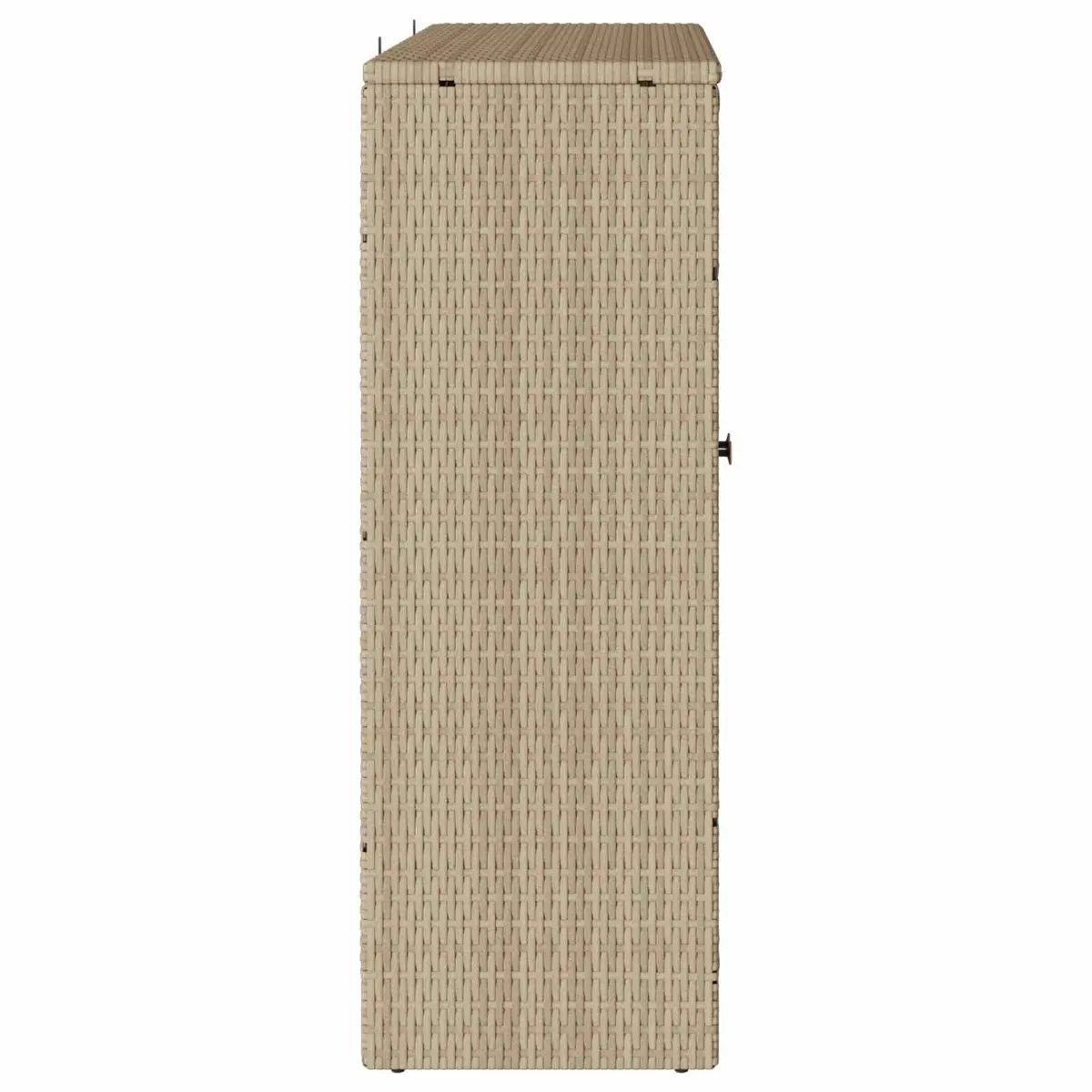 Storage Cabinet with Shelf Rattan Beige Rectangular Living Room Furniture