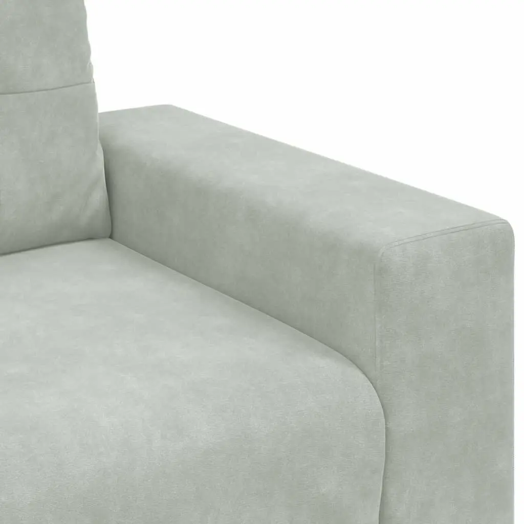 Loveseat Sofa Light Grey Velvet 2 Seater Couch Soft Surface Thickly Padded Foam Seats