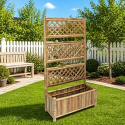 Compact Raised Garden Bed with Trellis for Climbing Plants