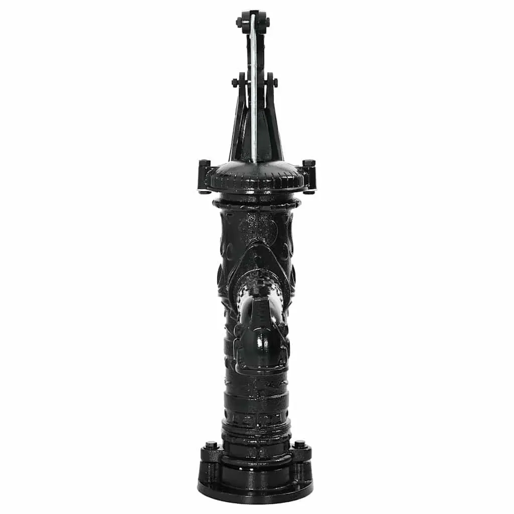 Hand Operated Garden Water Pump Black Cast Iron Manual Outdoor 38 mm Female Fitting