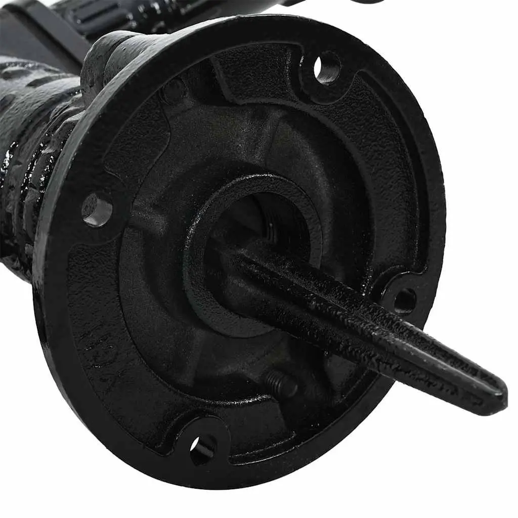 Hand Operated Garden Water Pump Black Cast Iron Manual Outdoor 38 mm Female Fitting