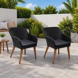 Concise Outdoor Armchair Set 2 pcs Cushions Black