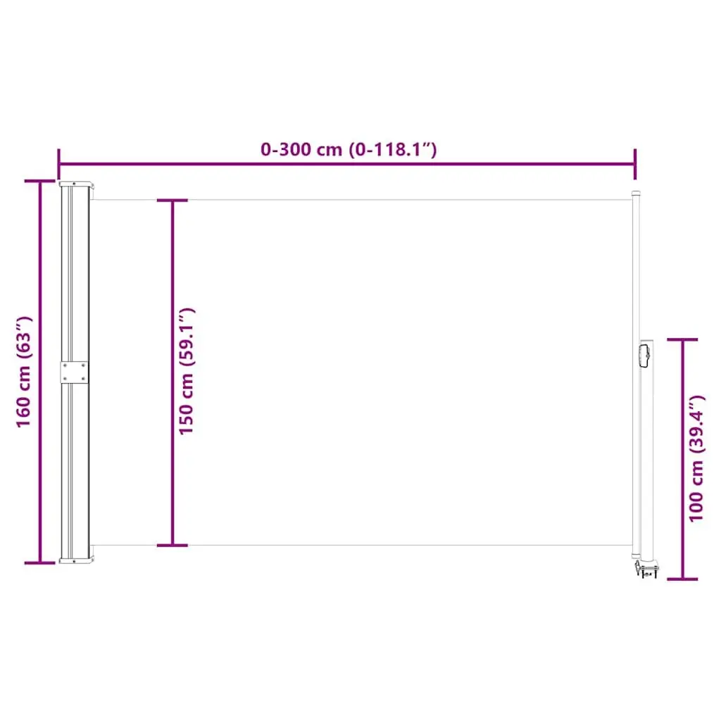 Retractable Side Awning Black 160 x 300 cm Outdoor Privacy Screen UV Tear Resistant Polyester