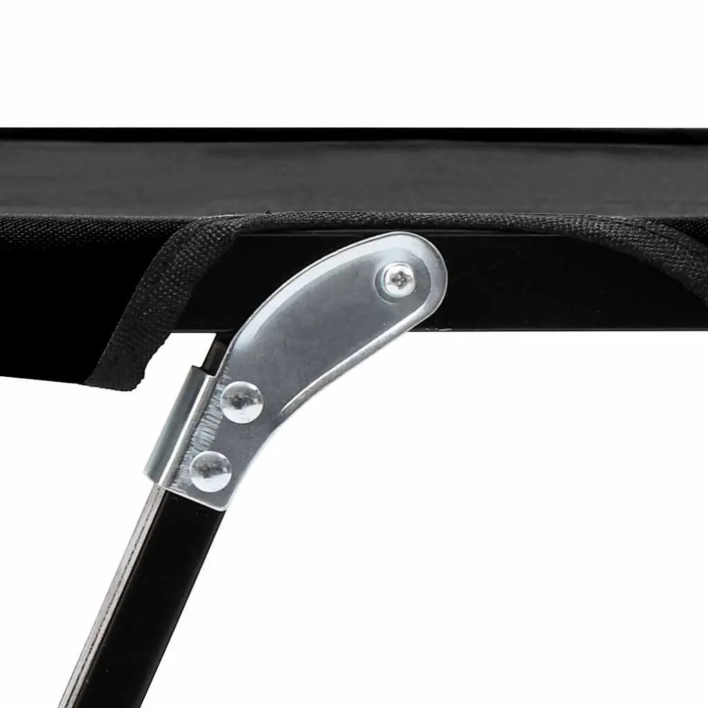Two Person Folding Sun Lounger Camping Cot Outdoor Seating Black Steel Frame