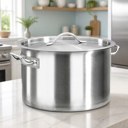 Compact and Reliable 32L Stock Pot in Silver