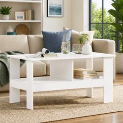Elegant Coffee Table with Large Surface and Storage Options