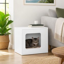 Modern Cat House for Style and Comfort