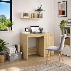 Office Desk with Storage Cabinet Brown Writing Table Study Workstation