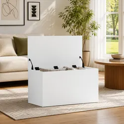 Concise, Stylish White Storage Chest for Your Needs